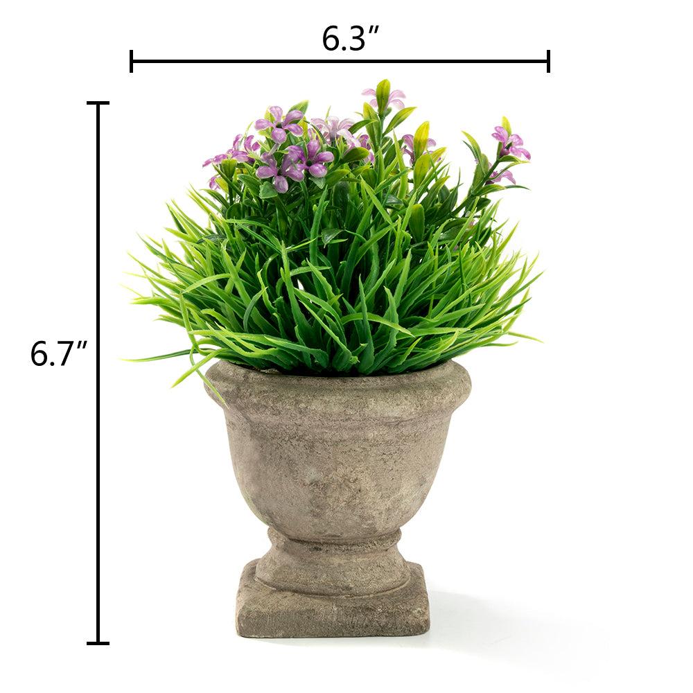 K Cliffs Mini Lifelike Artificial Green Grass & Purple Flowers In Trophy Design Pot - Faux Plant For Home & Office Décor