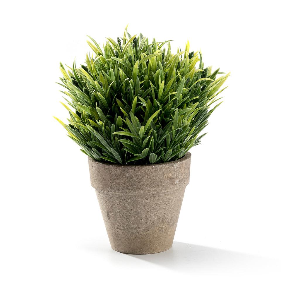 K Cliffs Mini Realistic Faux Green Grass Plant In Gray Pot - Tabletop Arrangement For Home & Office Décor