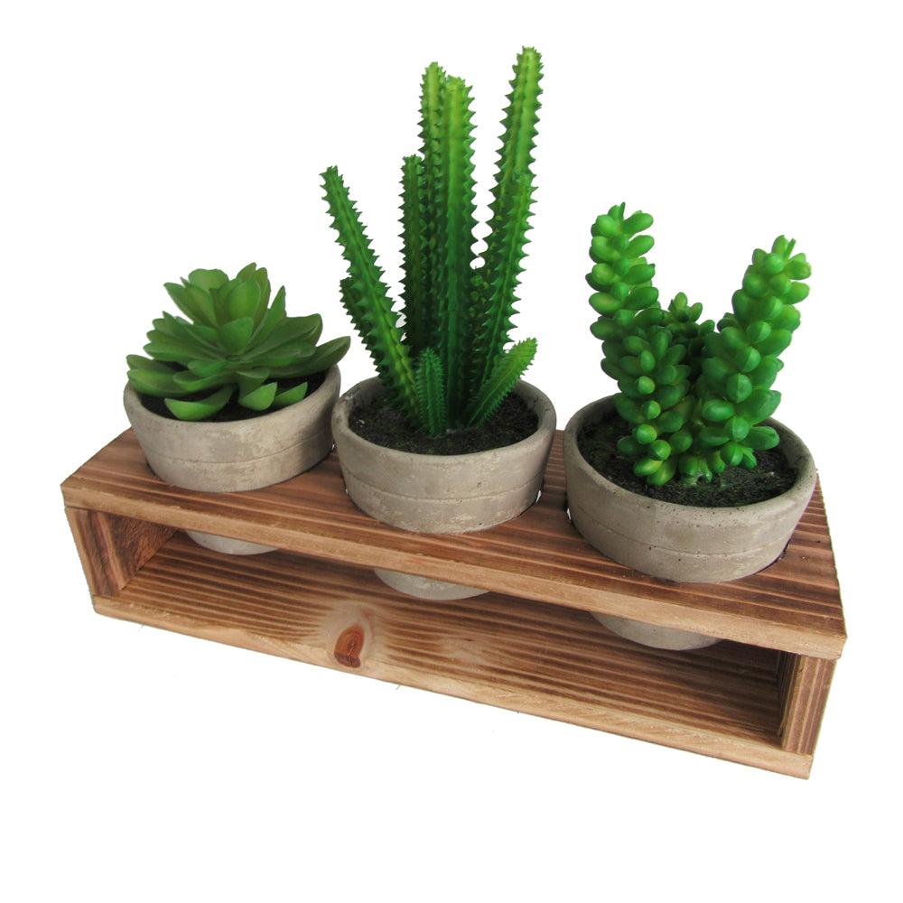 K Cliffs Rustic Style Artificial Succulent Plants With Removable Wood Display Stand – Indoor/Outdoor Décor