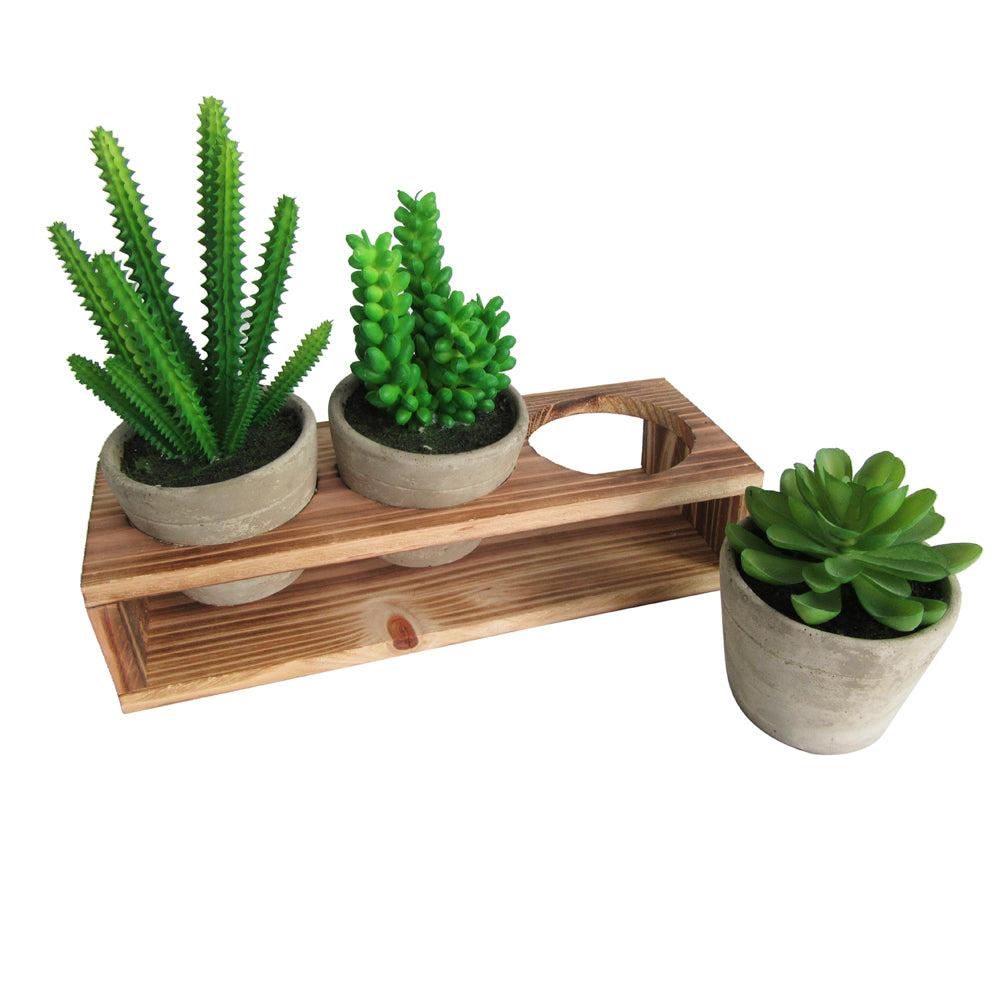 K Cliffs Rustic Style Artificial Succulent Plants With Removable Wood Display Stand – Indoor/Outdoor Décor