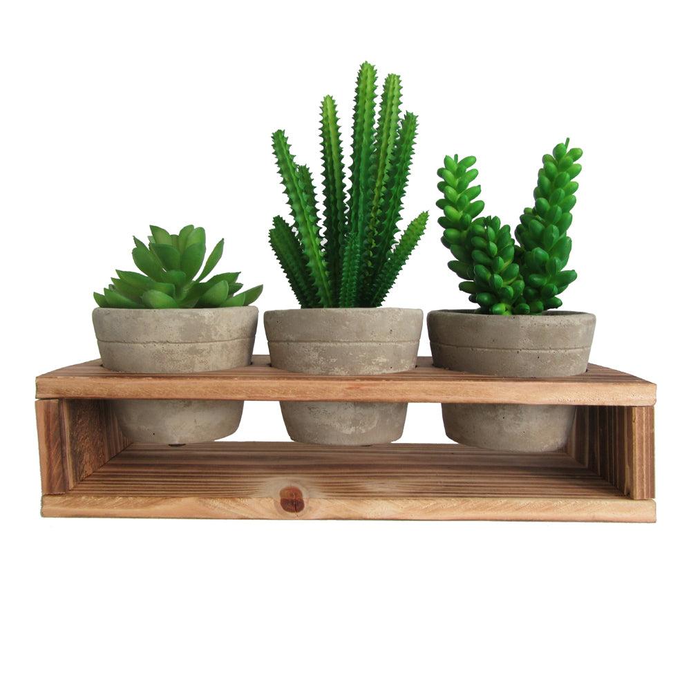 k cliffs Rustic Style Artificial Succulent Plants with Removable Wood Display Stand – Indoor/Outdoor Décor