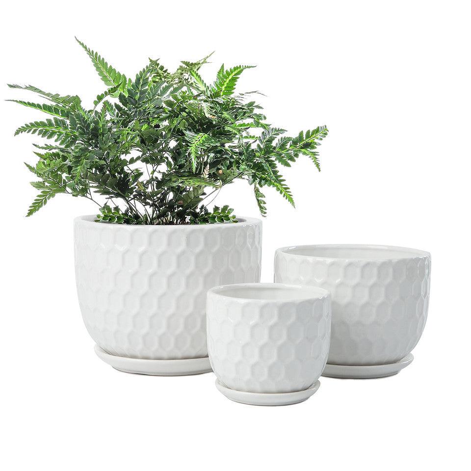 K Cliffs Set Of 3 Golf Ball-Inspired White Round Ceramic Planters With Drainage Hole W/Attached Saucers SML Sized