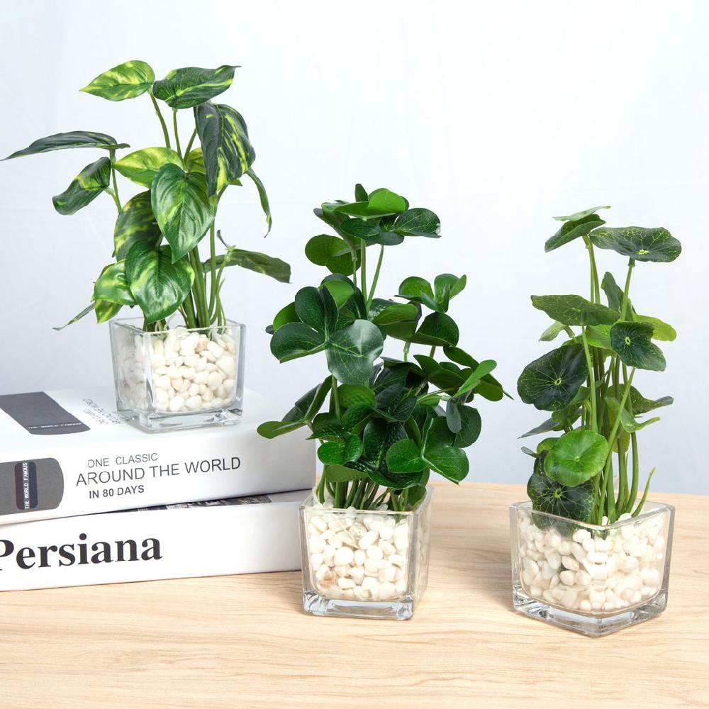 K Cliffs Set Of 3 Potted Faux Plants In Clear Glass Square Pots With Decorative White Stones