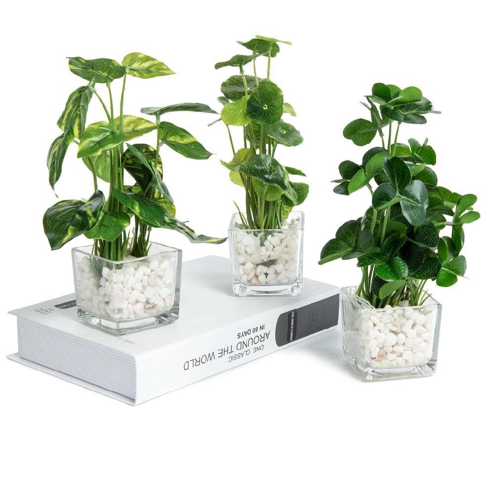 K Cliffs Set Of 3 Potted Faux Plants In Clear Glass Square Pots With Decorative White Stones