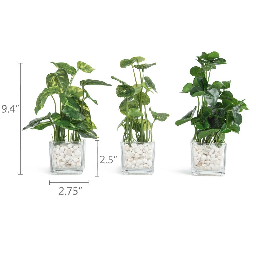 k cliffs Set of 3 Potted Faux Plants in Clear Glass Square Pots with Decorative White Stones