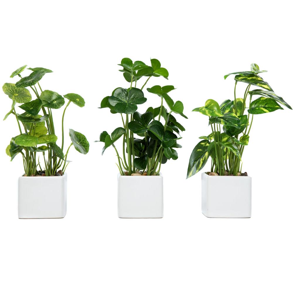 K Cliffs Set Of 3 Potted Faux Tabletop Plants In White Ceramic Square Pots