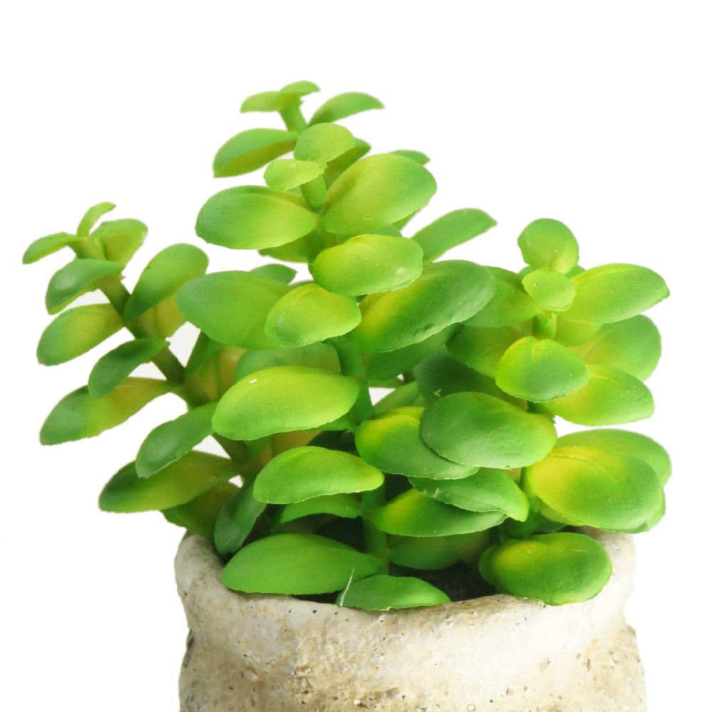 K Cliffs Set Of 3 Realistic Faux Succulent Plants In Cement Pot Planter