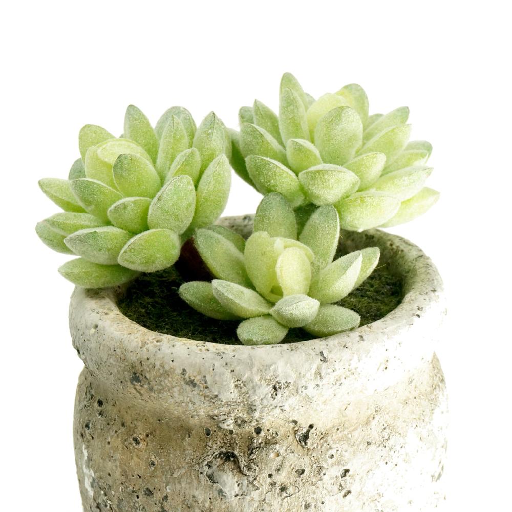 K Cliffs Set Of 3 Realistic Faux Succulent Plants In Cement Pot Planter