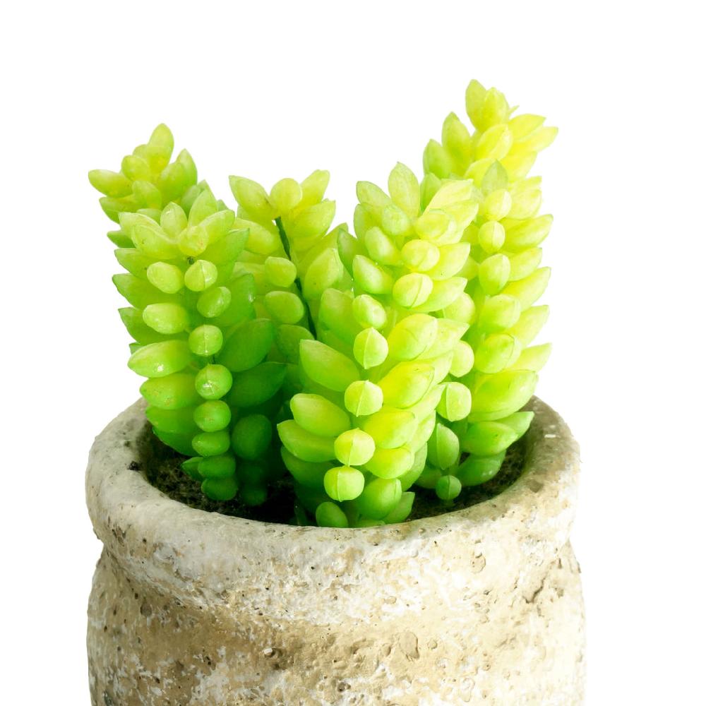 K Cliffs Set Of 3 Realistic Faux Succulent Plants In Cement Pot Planter