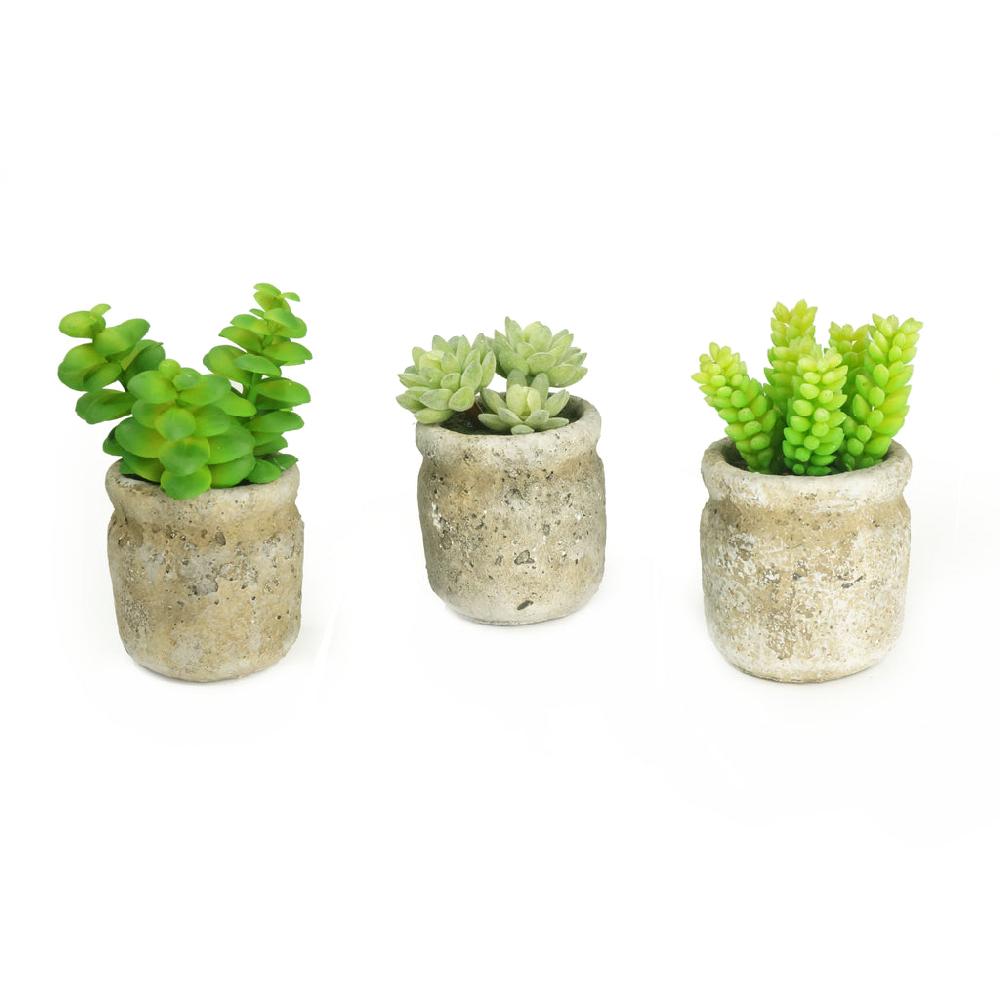 k cliffs Set of 3 Realistic Faux Succulent Plants in Cement Pot Planter