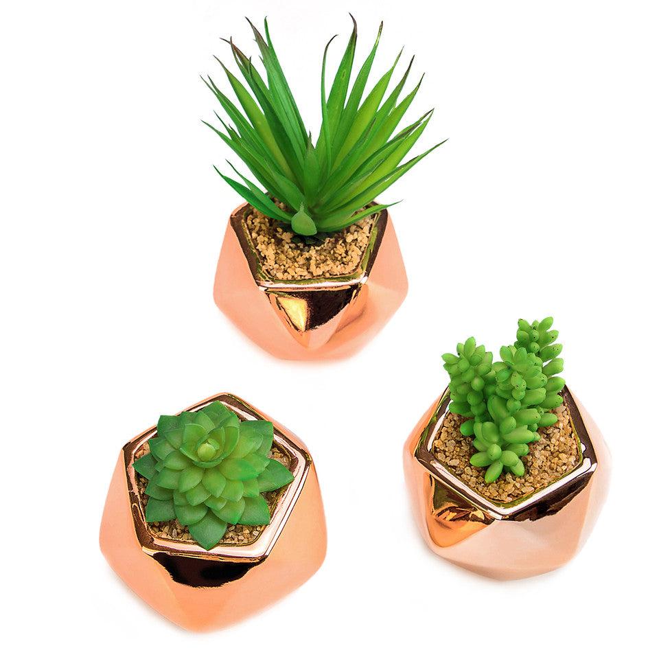 K Cliffs Set Of 3 Small Artificial Succulent Plant In Rose Gold Geometric Pots