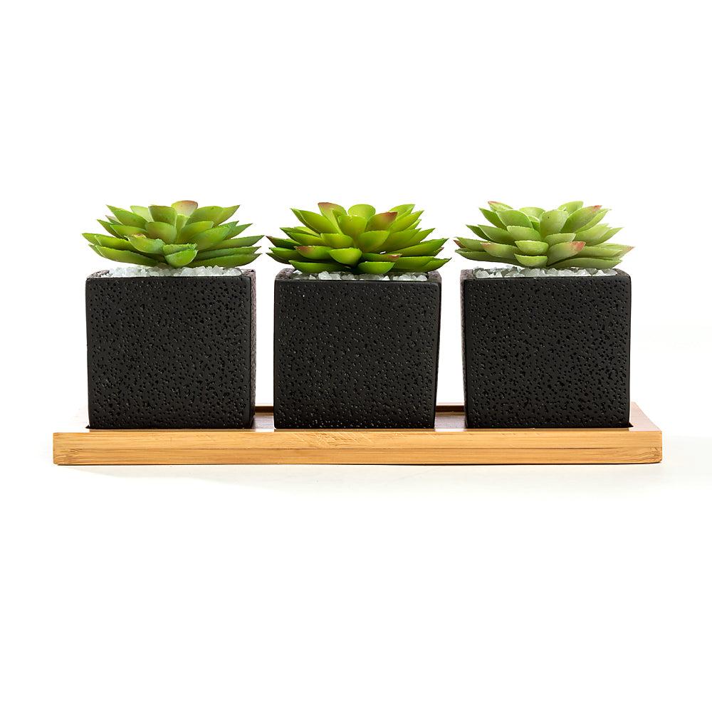 k cliffs Set of 3pcs Square Black Succulent Planter Pots 2.5 inch Cement Pottery with Tray