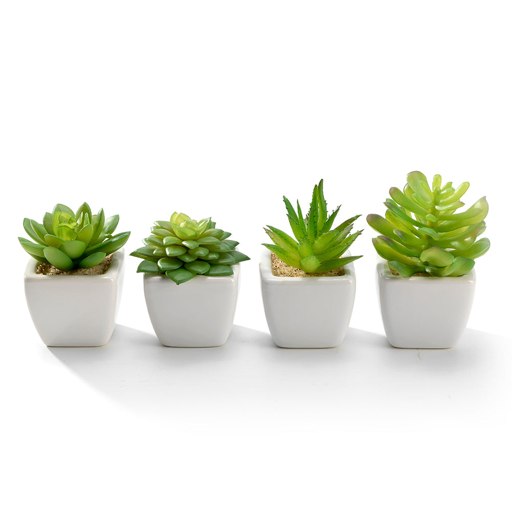 K Cliffs Set Of 4 Artificial Succulent Plants In White Ceramic Pots - Low Maintenance Décor For Home & Office