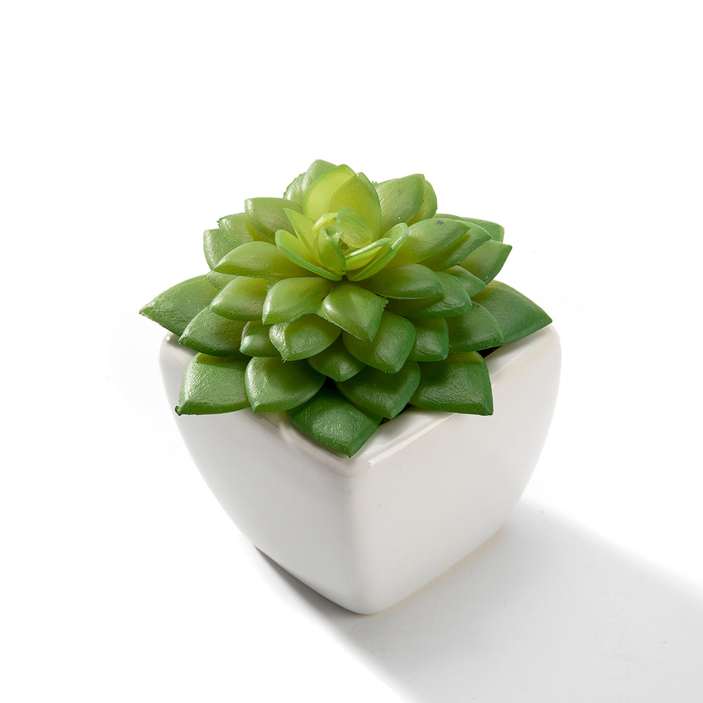 K Cliffs Set Of 4 Artificial Succulent Plants In White Ceramic Pots - Low Maintenance Décor For Home & Office