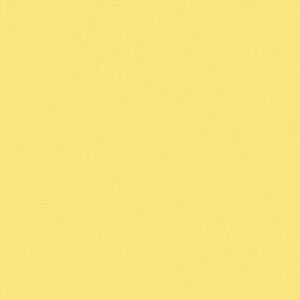 kaisercraft 12 x 12 Weave Cardstock Bundle - Lemonade