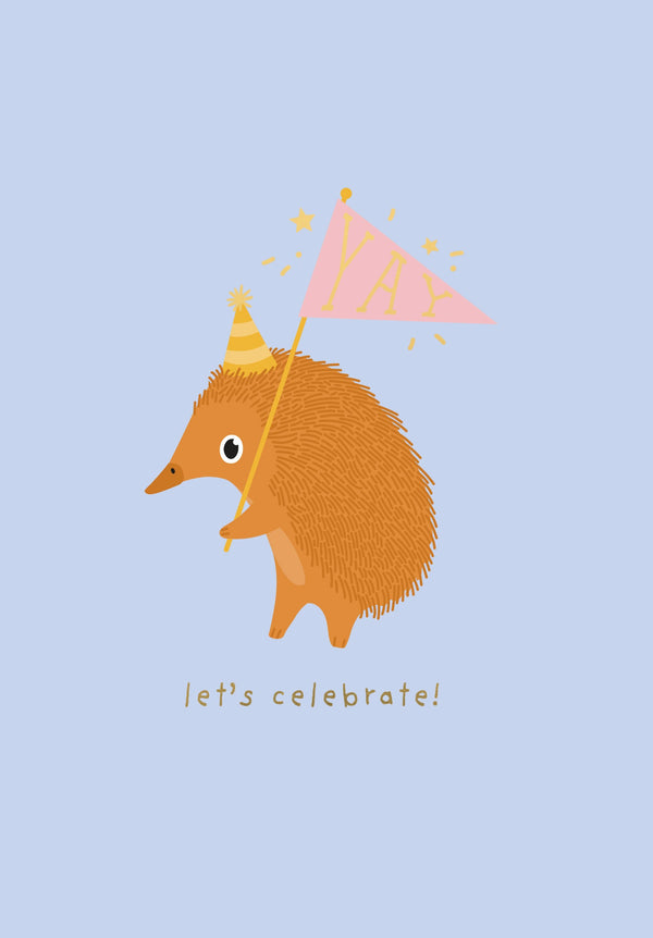 kaisercraft Greeting Card Explorer Mates - Party Echidna