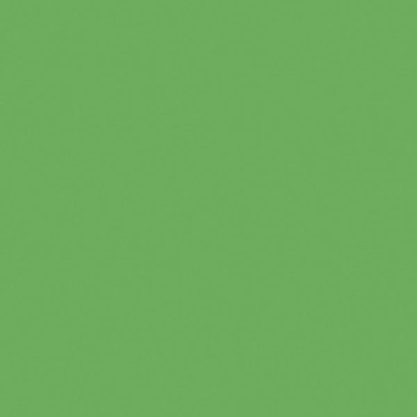 kaisercraft 12 x 12 Weave Cardstock Bundle - Frog