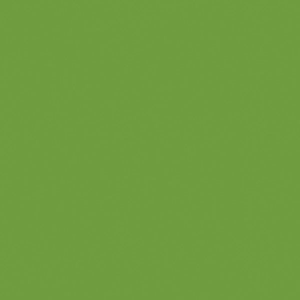 kaisercraft 12 x 12 Weave Cardstock Bundle - Lime