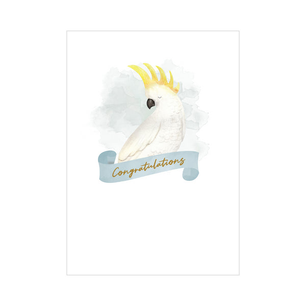 kaisercraft Greeting Card BABY - CONGRATS COCKY