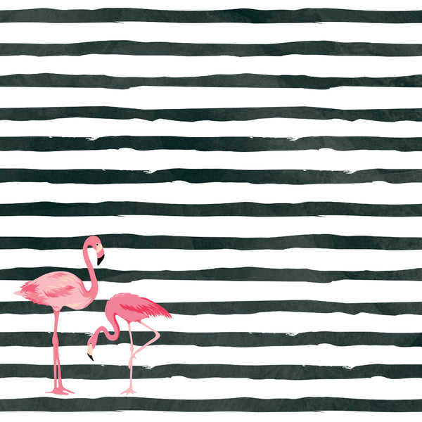 kaisercraft Sunkissed 12 x 12 Scrapbook Paper - Daquiri