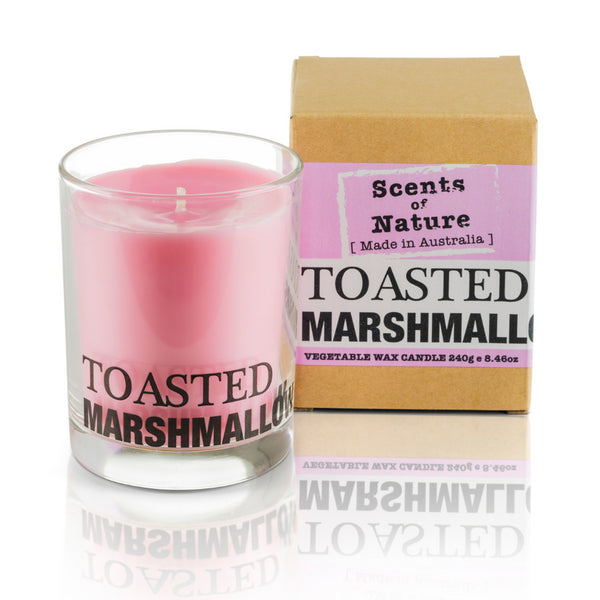 kaisercraft Tilley Toasted Marshmallow Soy Candle 240g
