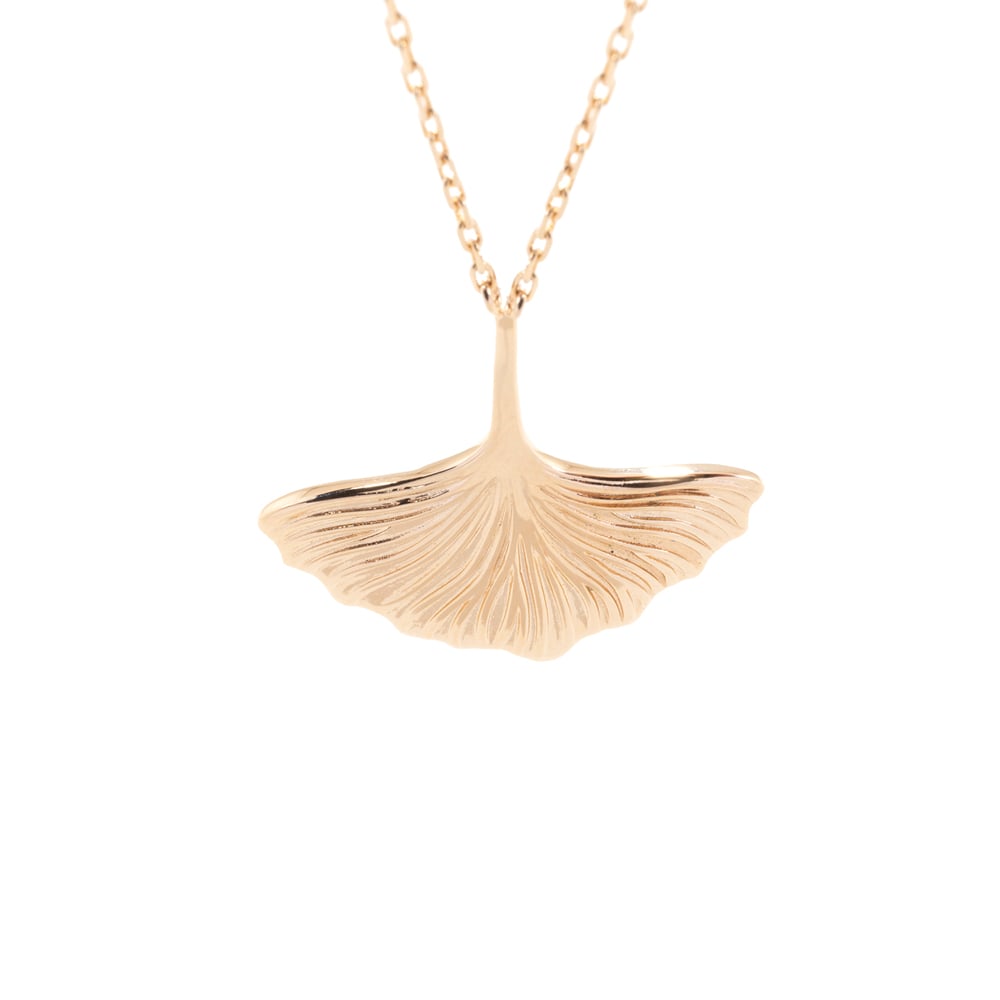 kalaika GINKGO COLLECTION