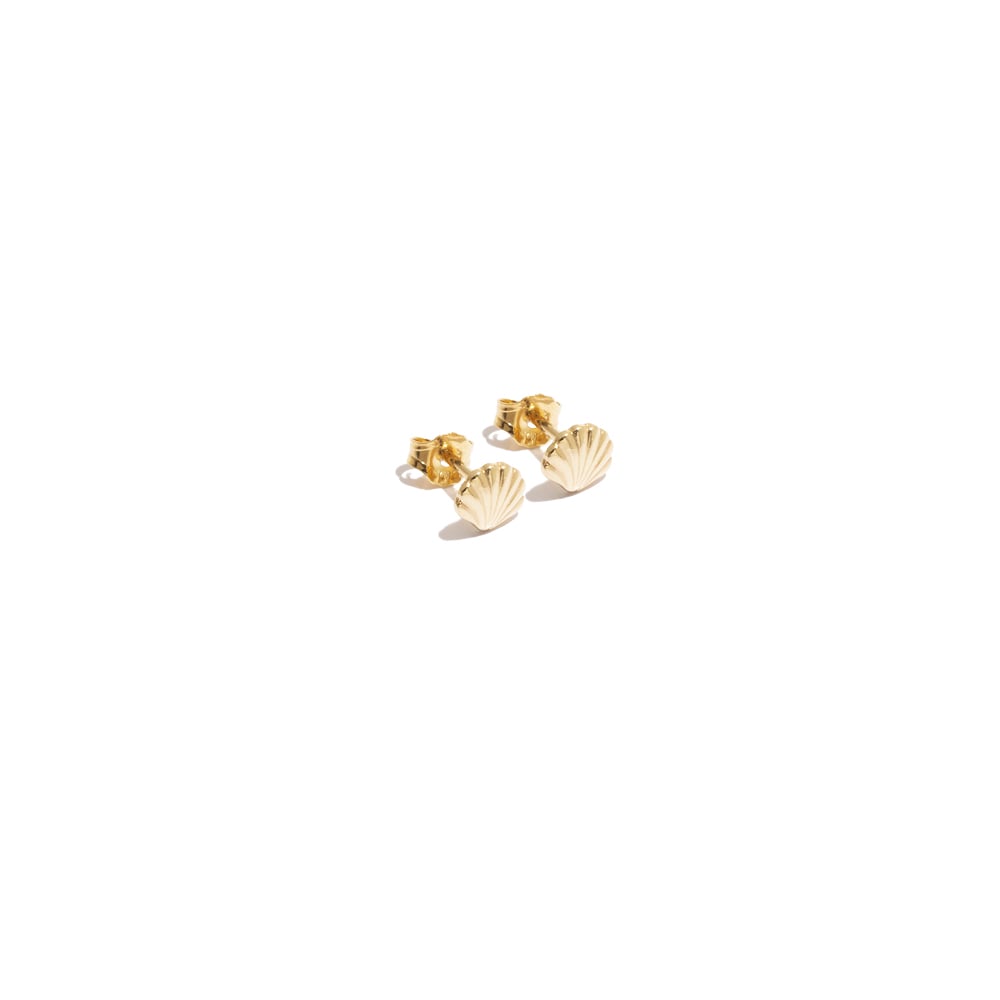 Kalaika SHELL COLLECTION
