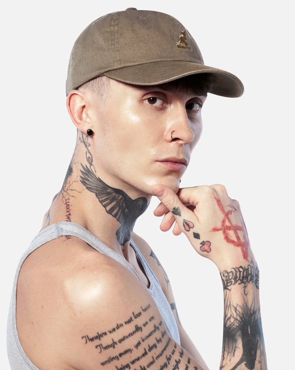 Washed Baseball Hat Cordovan