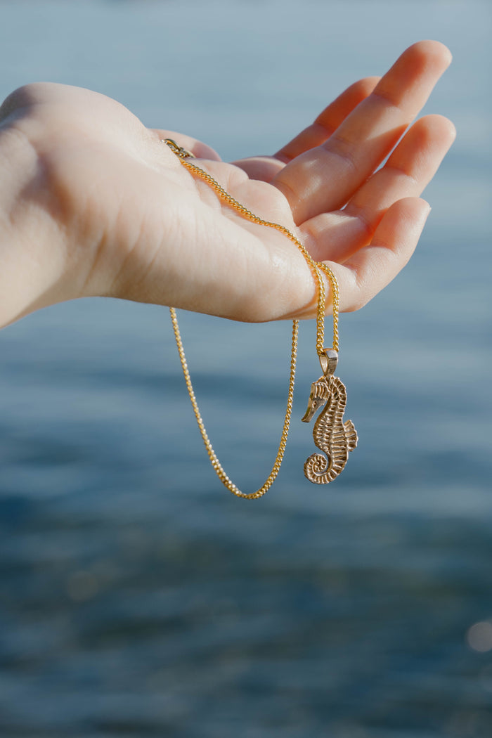 Kara Yoo Jewelry Seahorse Necklace