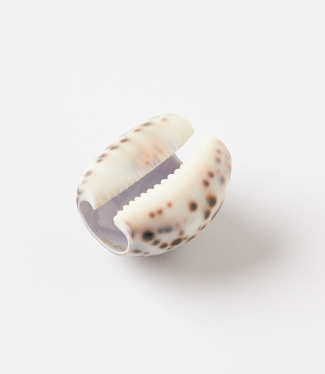 Karen Kane Brown Cowrie Napkin Rings Set Of 4 Karen Kane