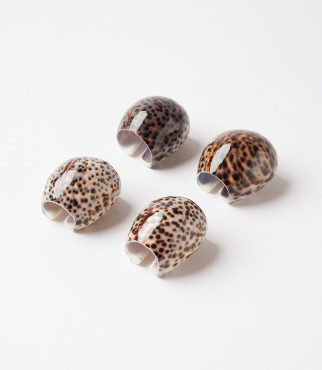 karen kane Brown Cowrie Napkin Rings Set Of 4 Karen Kane