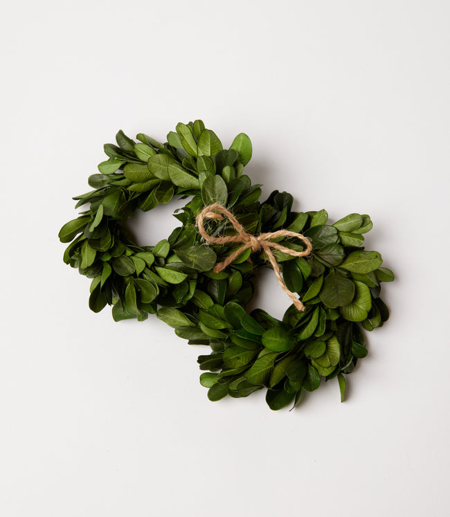 karen kane Green Preserved Boxwood Wreath Napkin Rings Set Of 4 Karen Kane