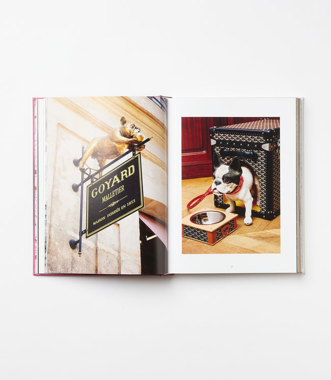 Karen Kane Multi Chic Dogs Karen Kane