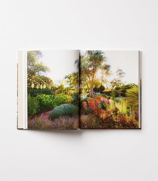 Karen Kane Multi Dreamscapes Karen Kane