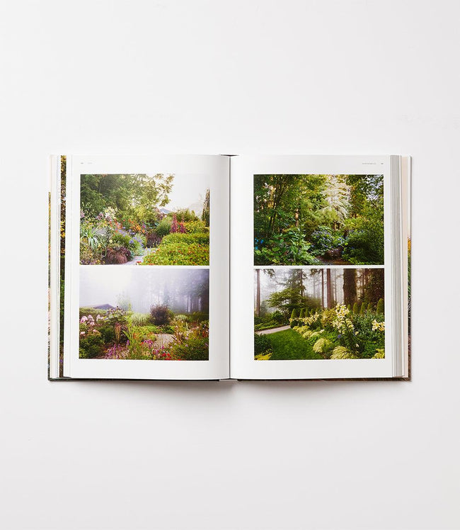 Karen Kane Multi Dreamscapes Karen Kane