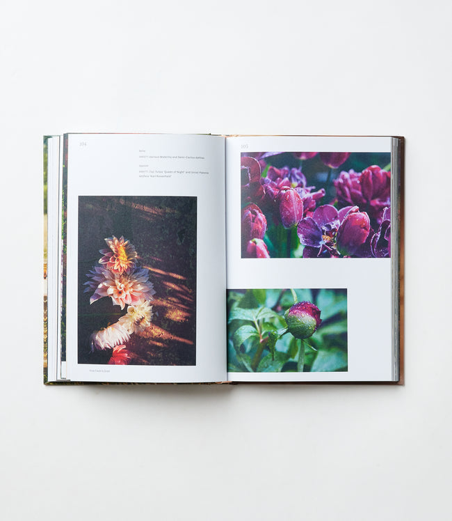 Karen Kane Multi Flowers Forever Karen Kane