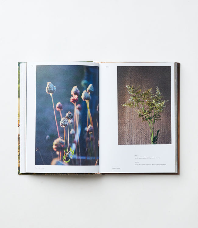 Karen Kane Multi Flowers Forever Karen Kane