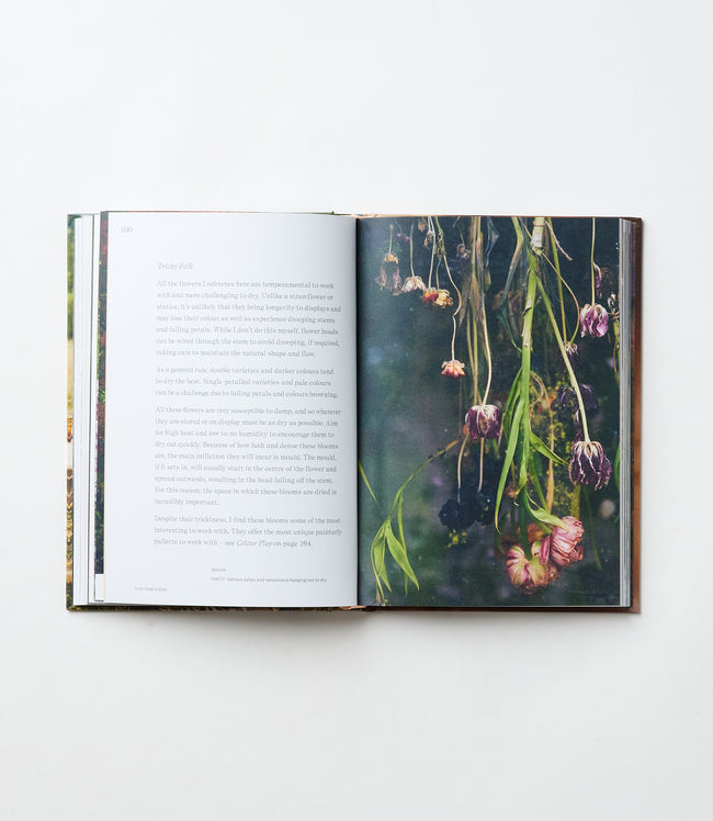 Karen Kane Multi Flowers Forever Karen Kane