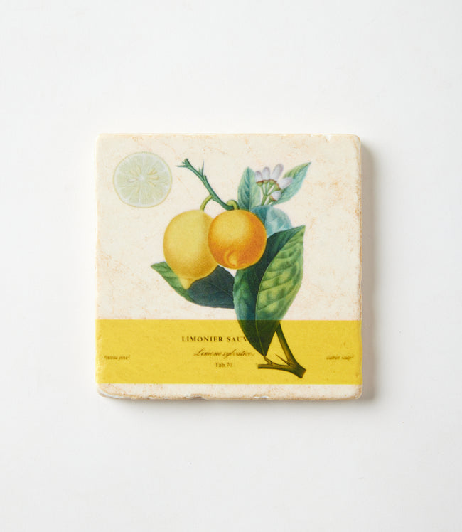 Karen Kane Lemon Lemon Marble Coasters Set Of 4 Karen Kane