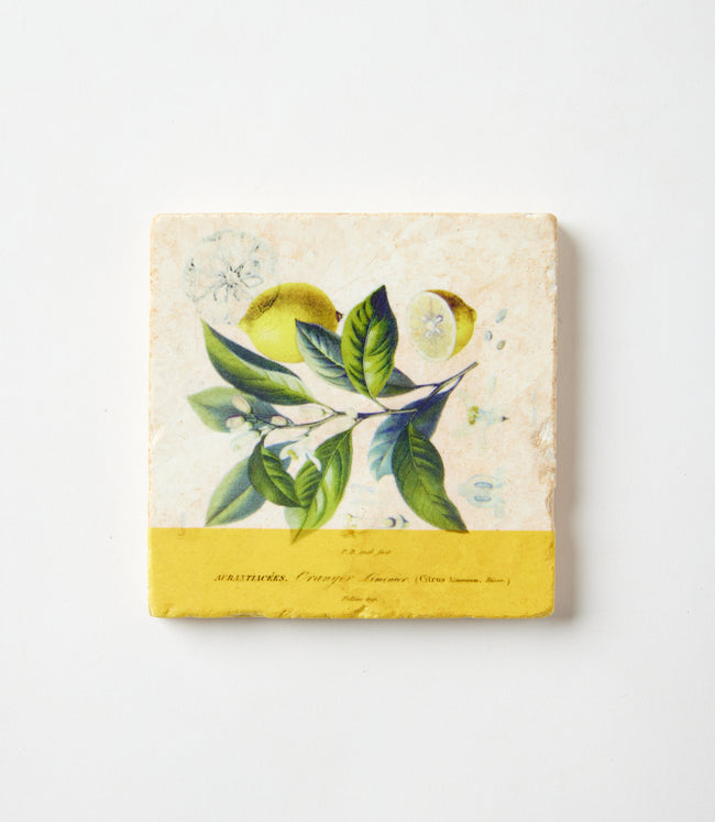Karen Kane Lemon Lemon Marble Coasters Set Of 4 Karen Kane