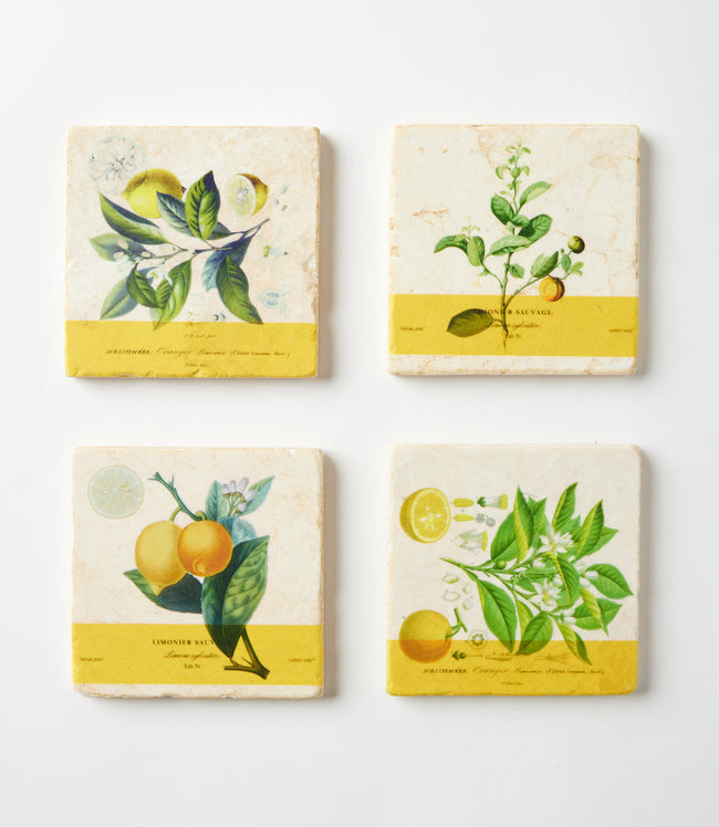 karen kane Lemon Lemon Marble Coasters Set Of 4 Karen Kane
