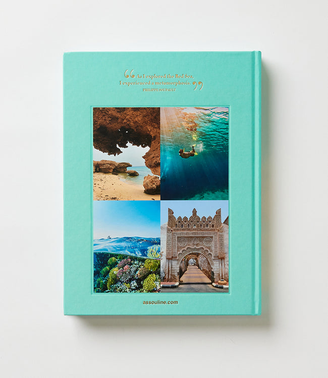 Karen Kane Multi Color Red Sea The Saudi Coast Karen Kane