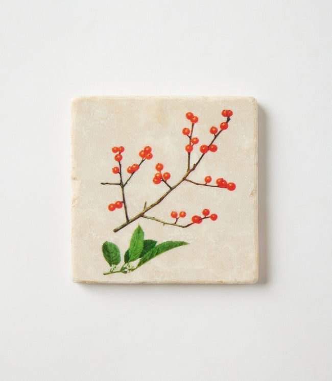 Karen Kane Multi Holly Marble Coasters Set Of 4 Karen Kane