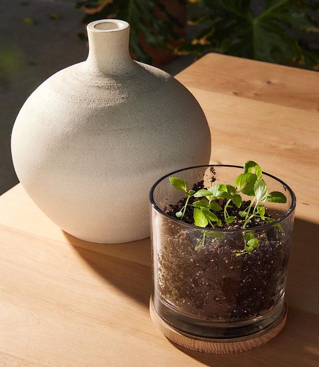 Karen Kane Multi Painted Leaf Houseplant Kit Karen Kane