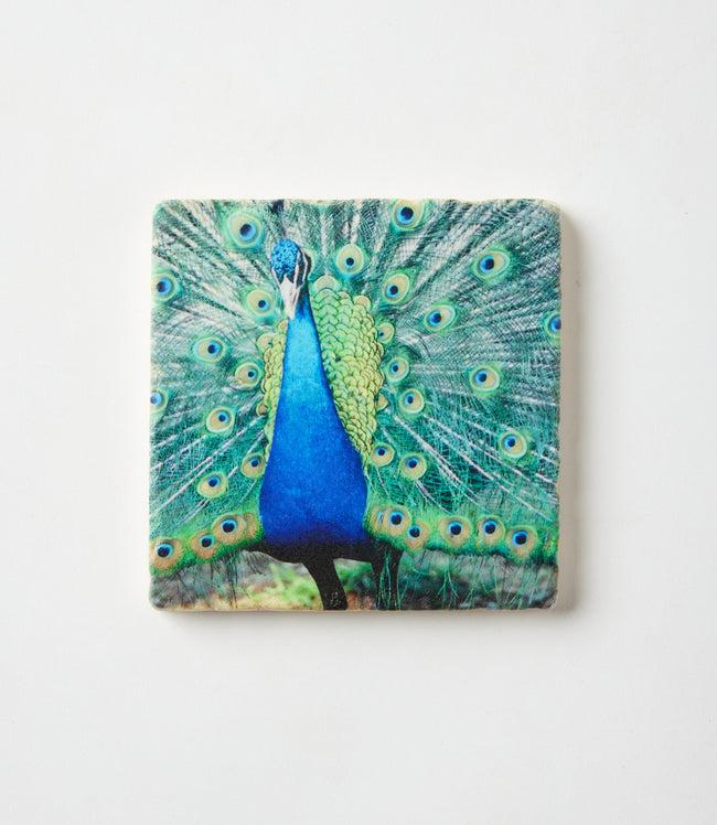 Karen Kane Peacock Peacock Marble Coasters Set Of 4 Karen Kane