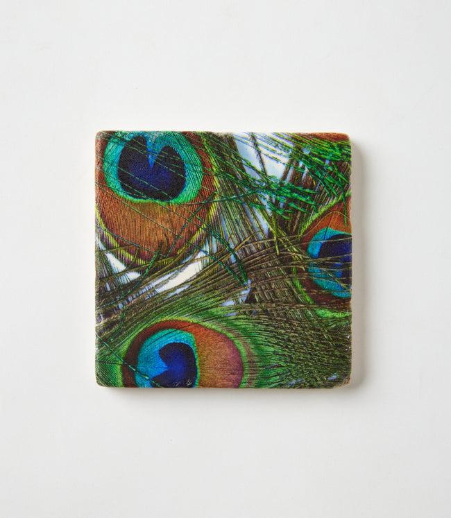 Karen Kane Peacock Peacock Marble Coasters Set Of 4 Karen Kane