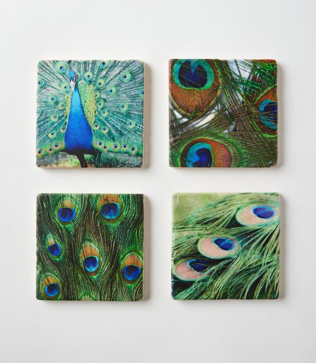 karen kane Peacock Peacock Marble Coasters Set Of 4 Karen Kane