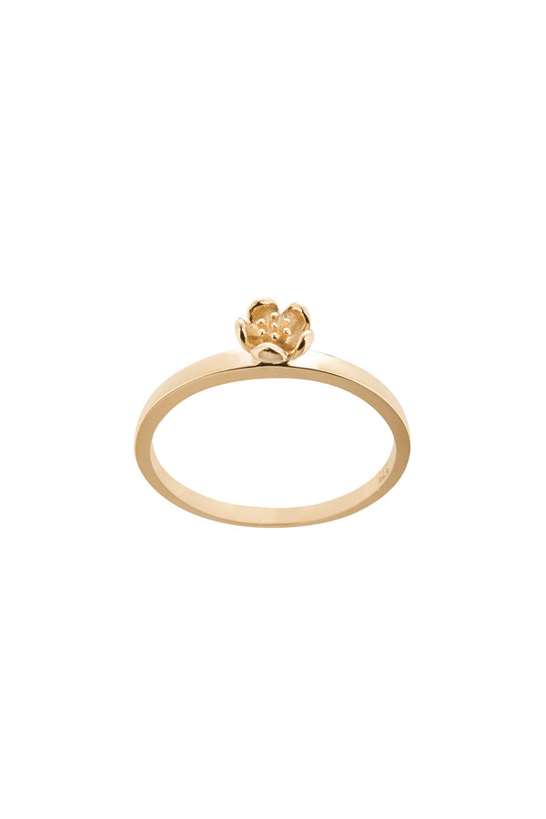 karen walker Botanical Plain Ring Gold