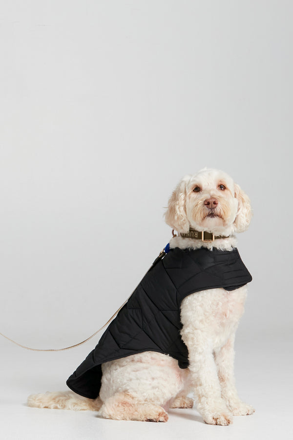 Karen Walker Quilted Monogram Dog Jacket Black