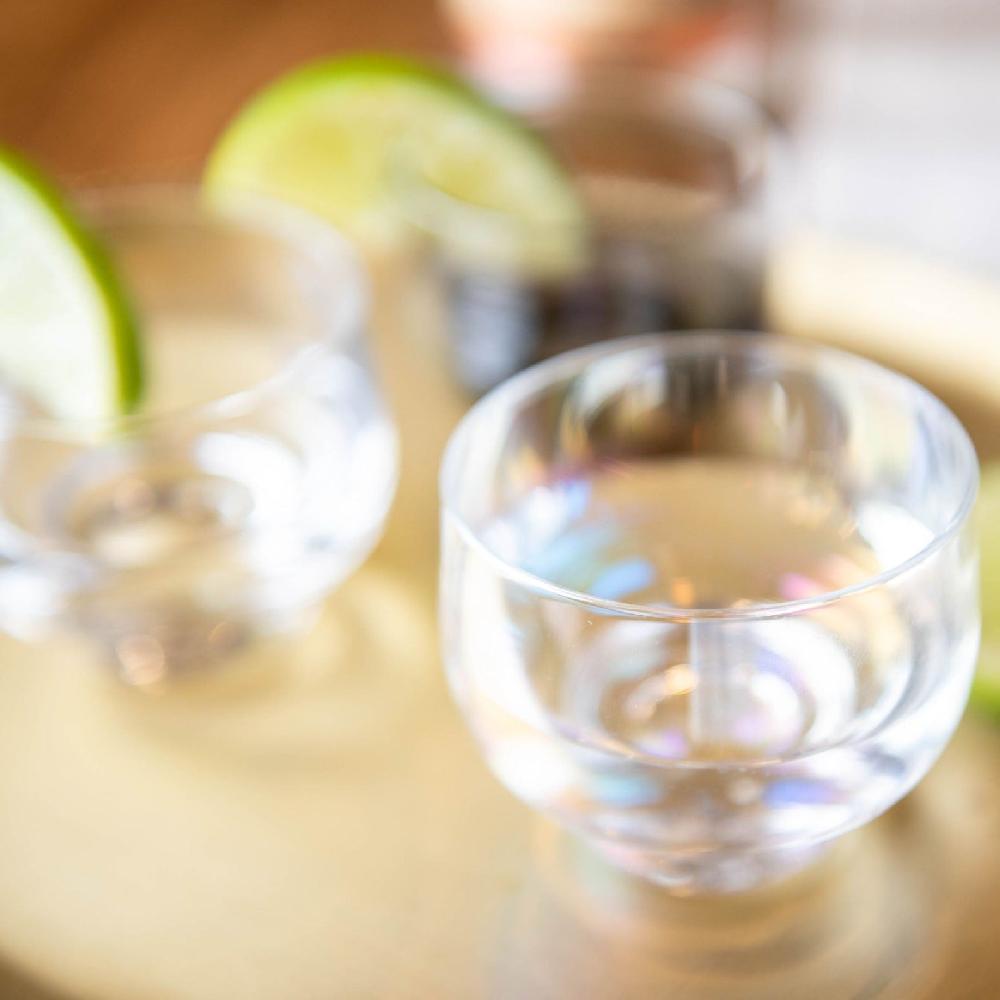 Karma Gifts Clear Luster Set Of 6 Lexi Collection Shot Glass